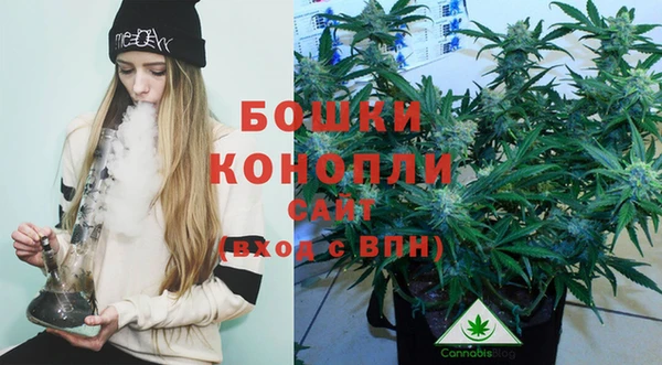 прущие грибы Балабаново
