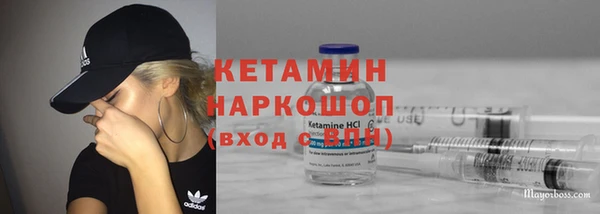прущие грибы Балабаново