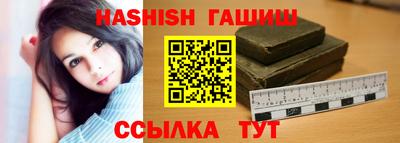 стаф Гатчина