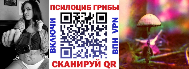 Псилоцибиновые грибы Psilocybine cubensis  мега маркетплейс  Волгоград 