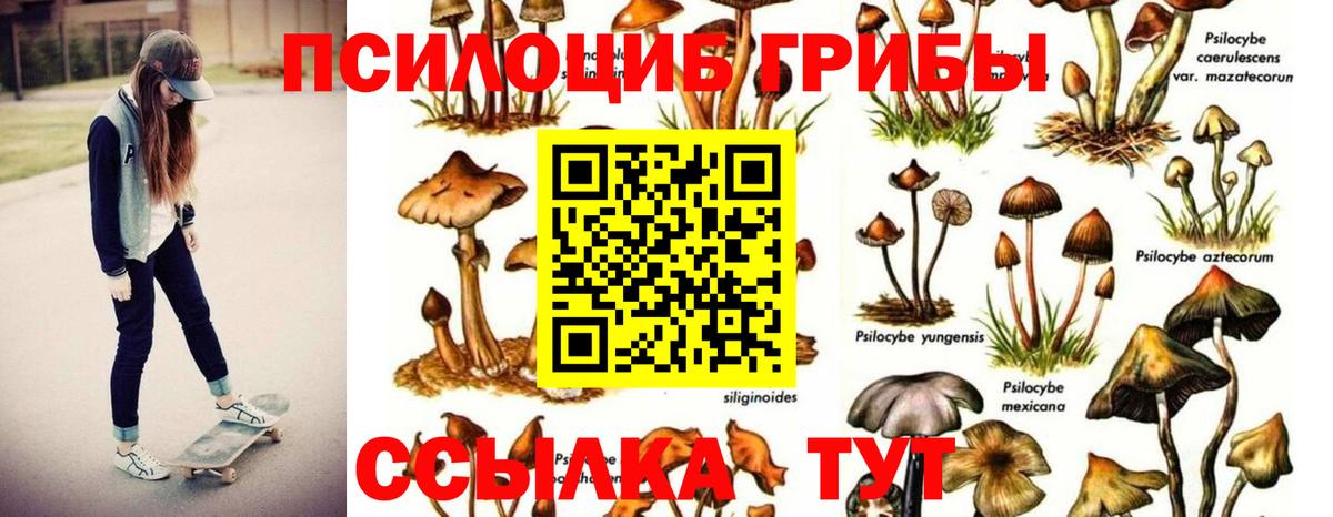 Галлюциногенные грибы Cubensis  Вход с VPN  Волгоград  Псилоцибиновые грибы GOLDEN TEACHER 